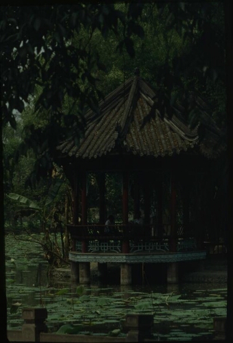 辉县战洪州(PHwnq000009)