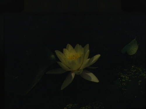 辉县战洪州(PHwnq000010)